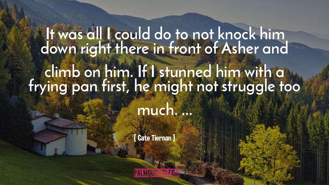 Cate Tiernan Quotes: It was all I could