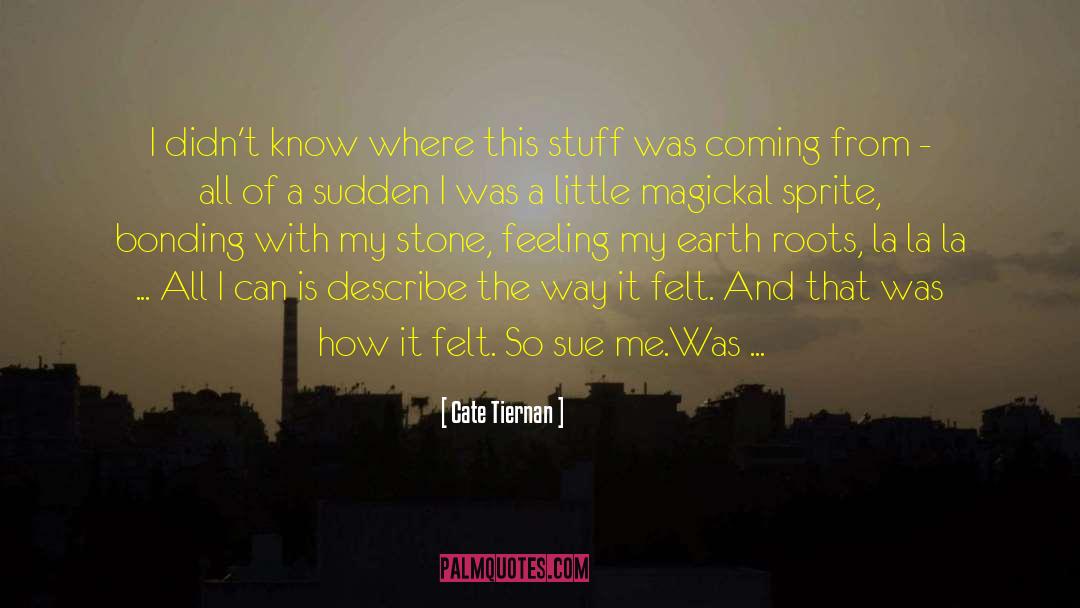 Cate Tiernan Quotes: I didn't know where this