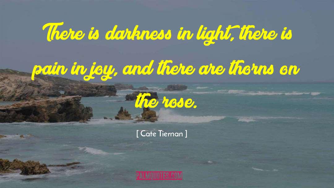 Cate Tiernan Quotes: There is darkness in light,
