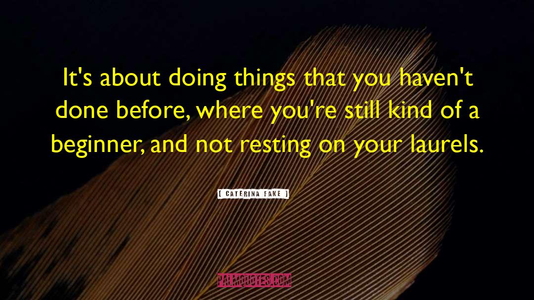 Caterina Fake Quotes: It's about doing things that