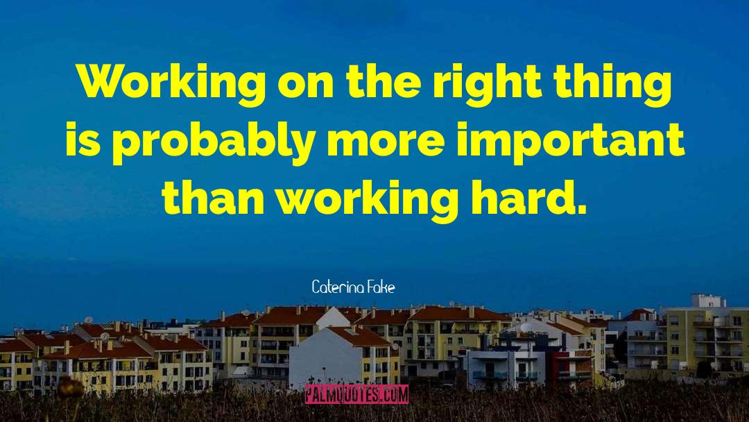 Caterina Fake Quotes: Working on the right thing
