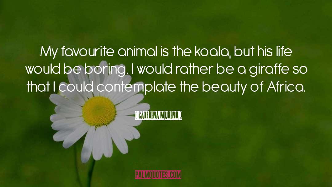 Caterina Murino Quotes: My favourite animal is the