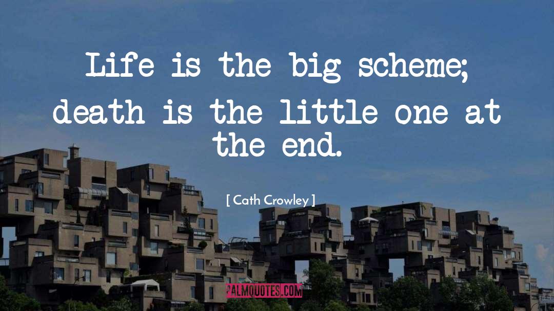 Cath Crowley Quotes: Life is the big scheme;