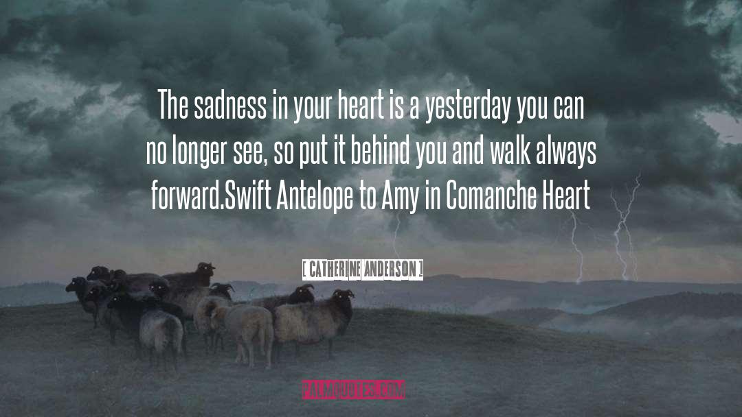 Catherine Anderson Quotes: The sadness in your heart