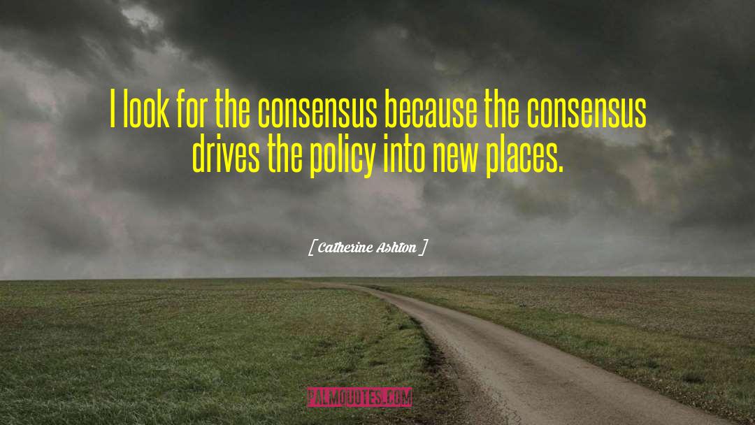 Catherine Ashton Quotes: I look for the consensus