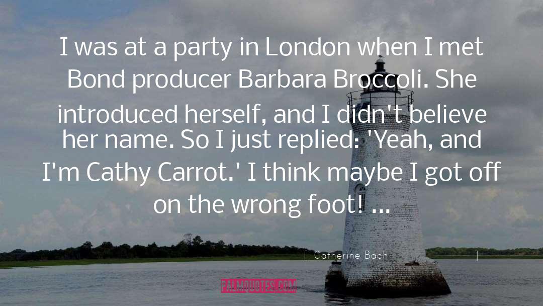 Catherine Bach Quotes: I was at a party