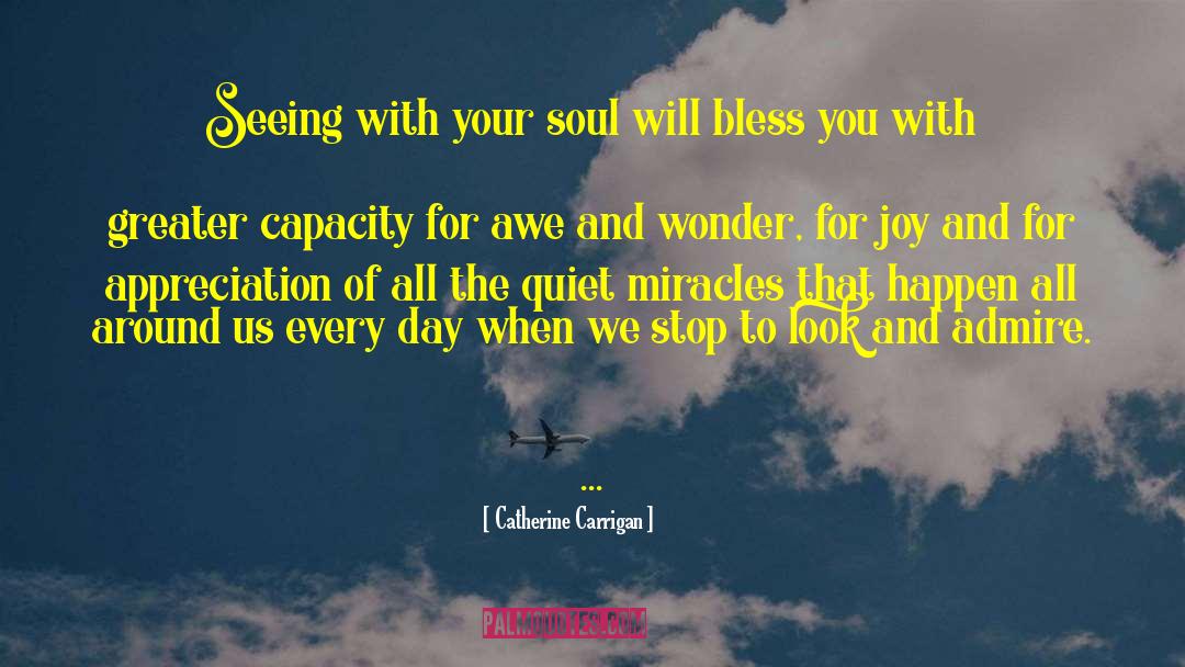 Catherine Carrigan Quotes: Seeing with your soul will