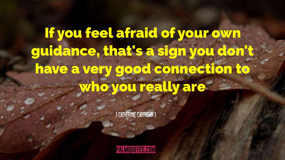Catherine Carrigan Quotes: If you feel afraid of