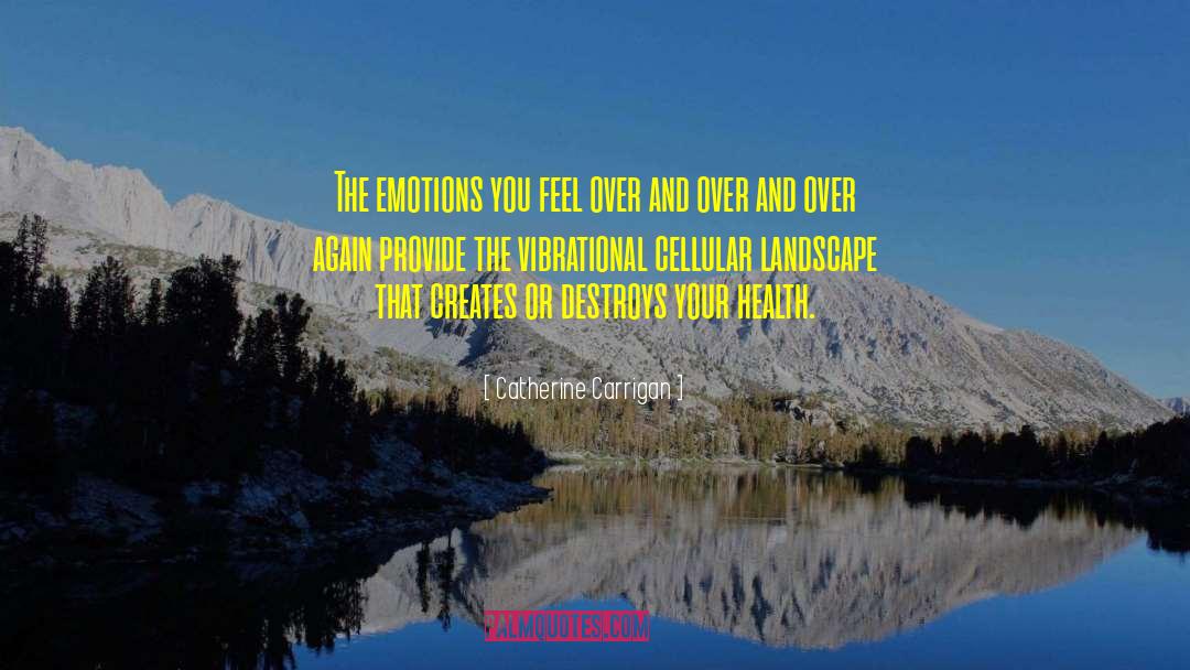 Catherine Carrigan Quotes: The emotions you feel over