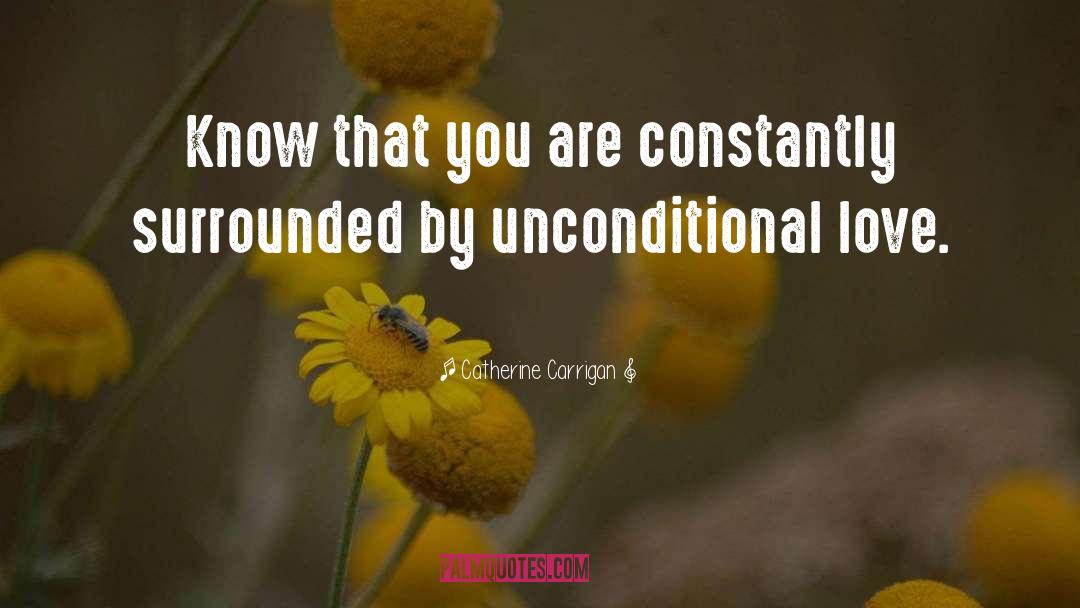 Catherine Carrigan Quotes: Know that you are constantly