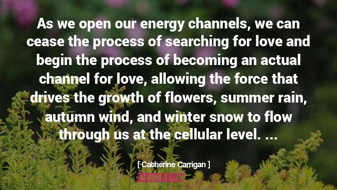 Catherine Carrigan Quotes: As we open our energy