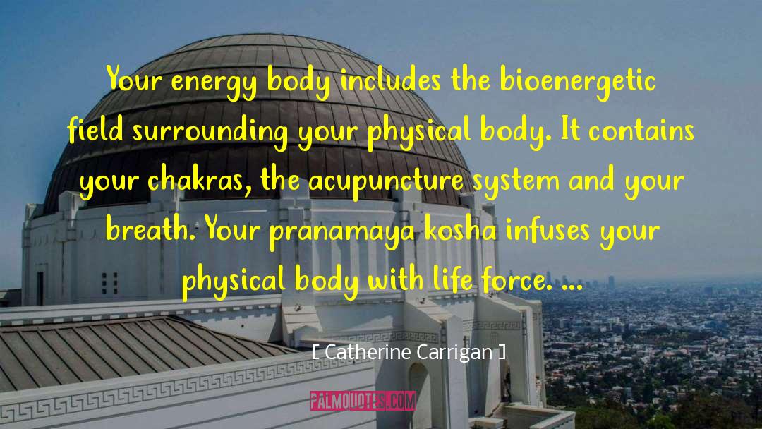 Catherine Carrigan Quotes: Your energy body includes the