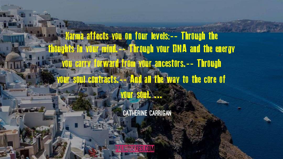 Catherine Carrigan Quotes: Karma affects you on four