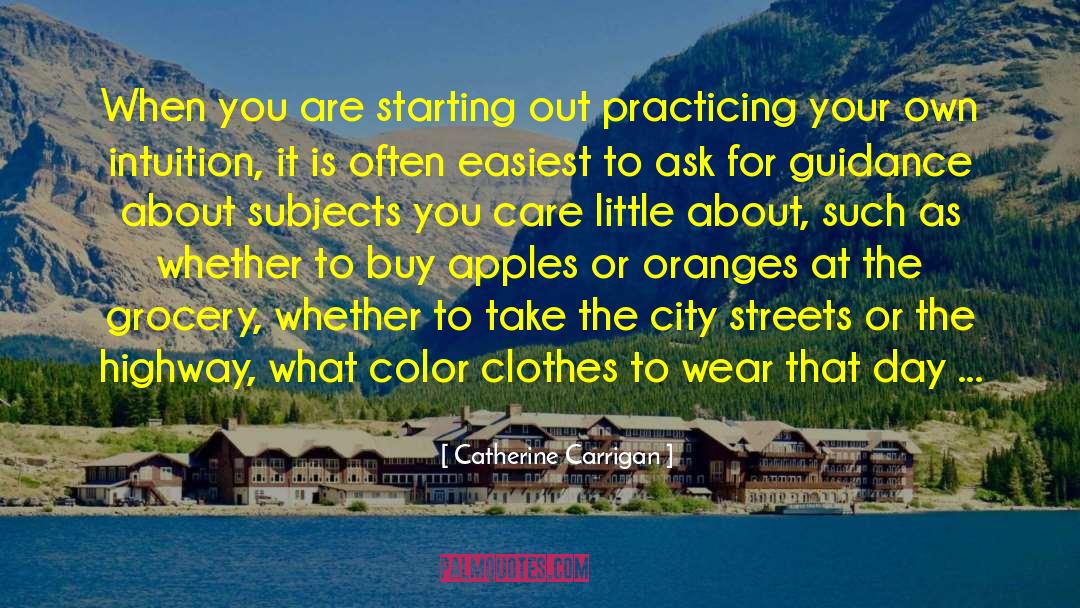 Catherine Carrigan Quotes: When you are starting out