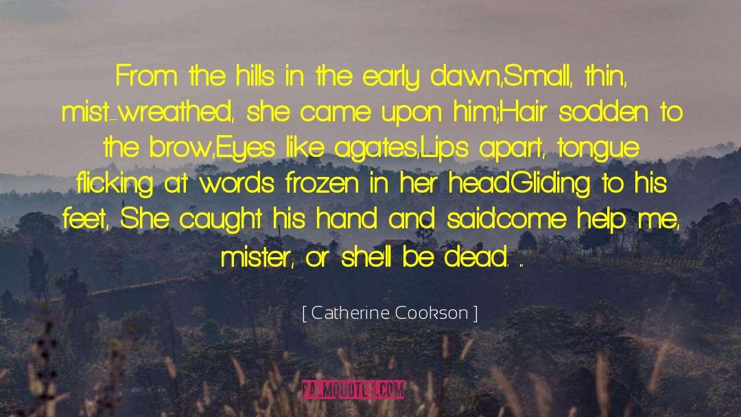 Catherine Cookson Quotes: From the hills in the