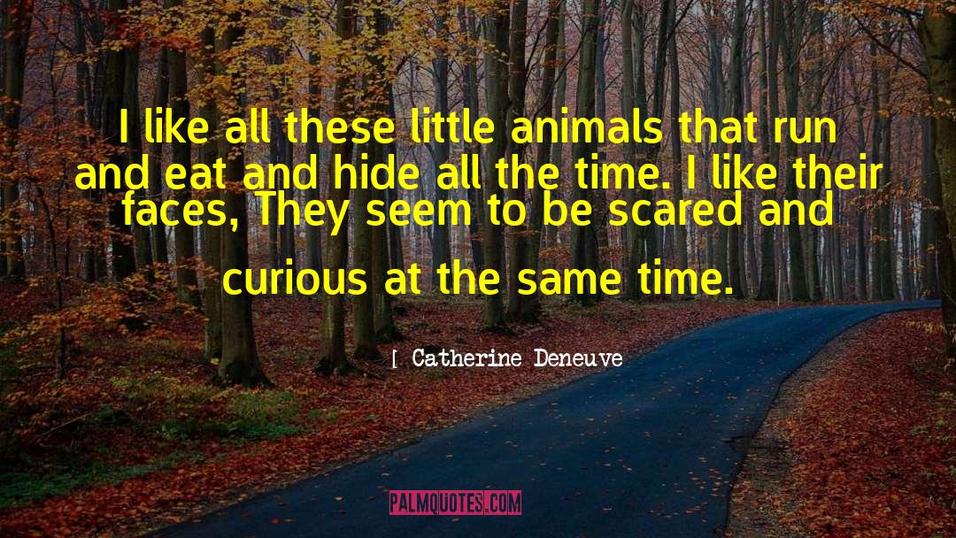 Catherine Deneuve Quotes: I like all these little