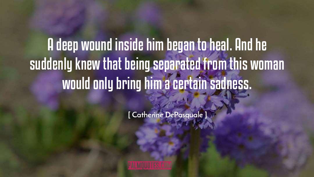 Catherine DePasquale Quotes: A deep wound inside him