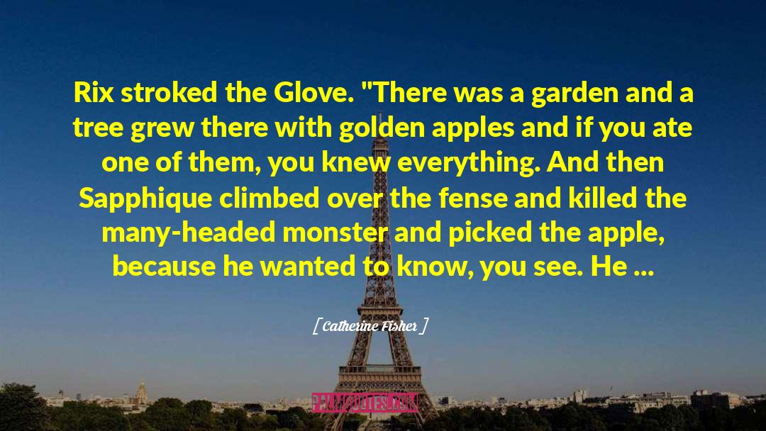 Catherine Fisher Quotes: Rix stroked the Glove. 