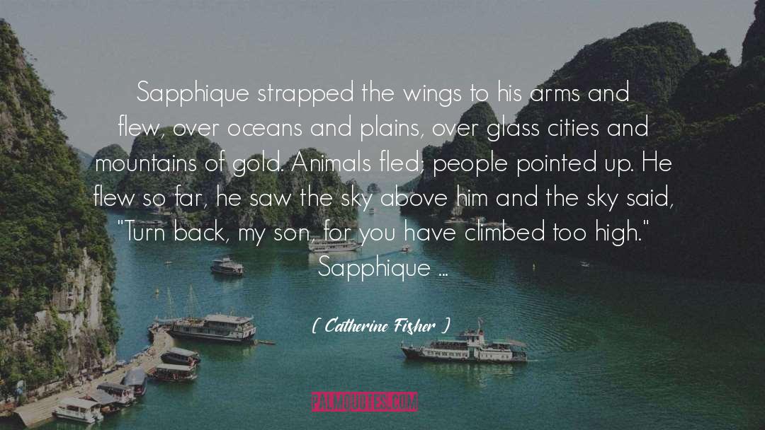 Catherine Fisher Quotes: Sapphique strapped the wings to