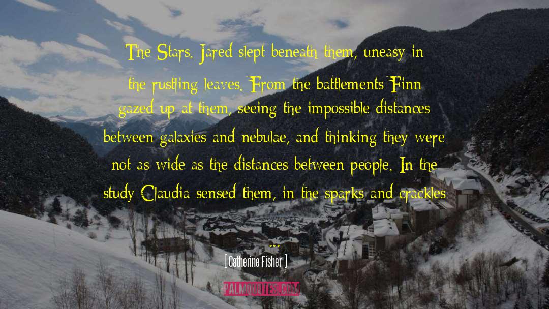 Catherine Fisher Quotes: The Stars.<br> Jared slept beneath