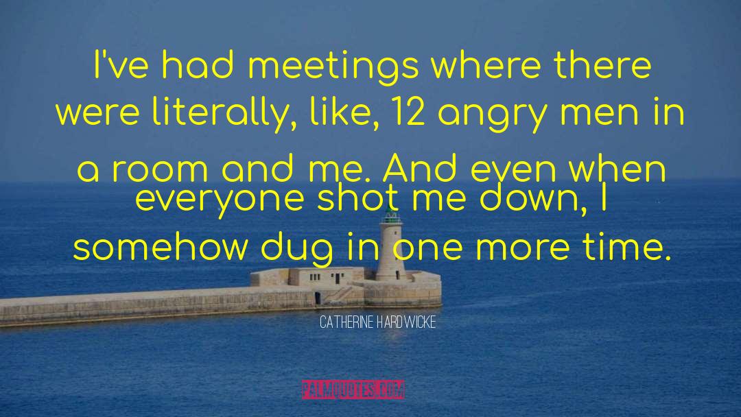 Catherine Hardwicke Quotes: I've had meetings where there
