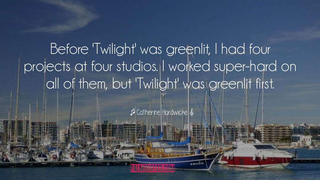 Catherine Hardwicke Quotes: Before 'Twilight' was greenlit, I