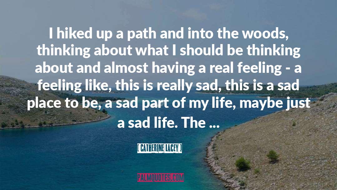 Catherine Lacey Quotes: I hiked up a path