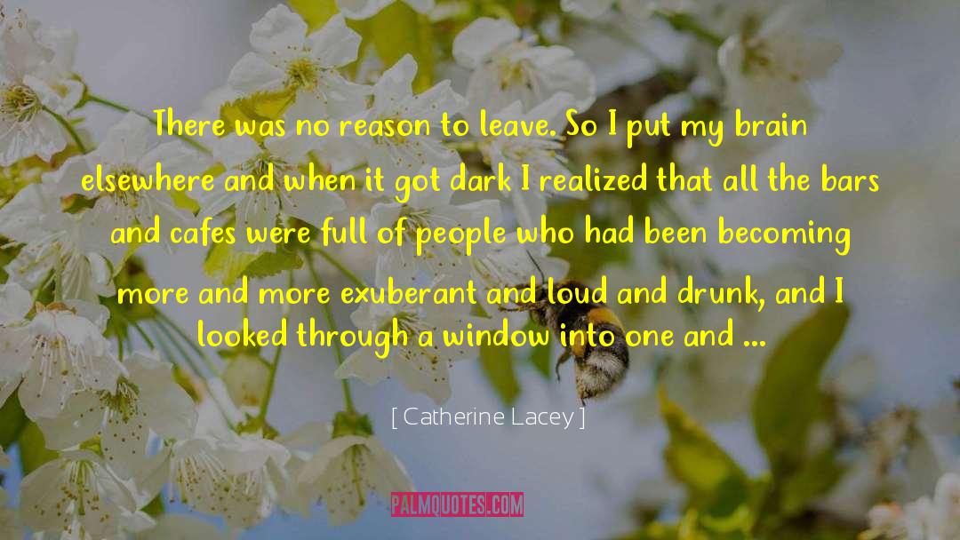 Catherine Lacey Quotes: There was no reason to