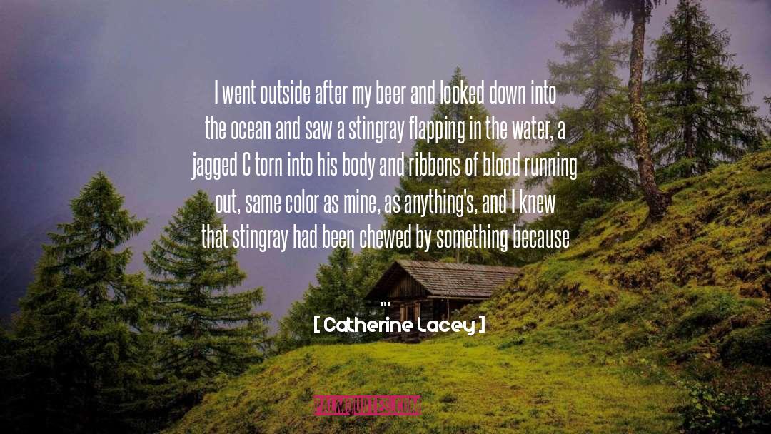 Catherine Lacey Quotes: I went outside after my