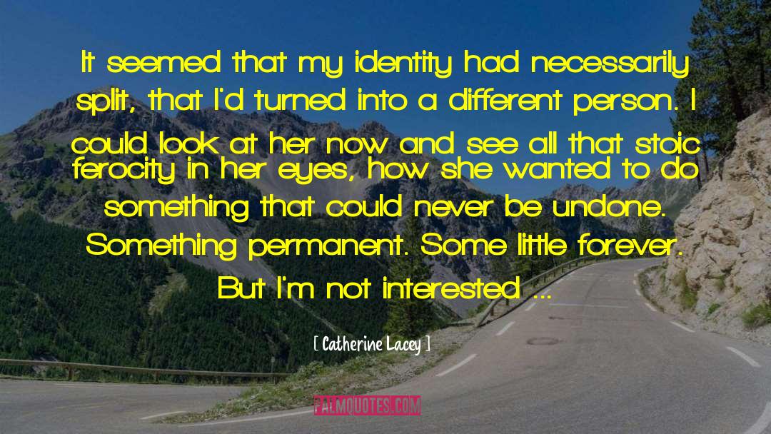 Catherine Lacey Quotes: It seemed that my identity
