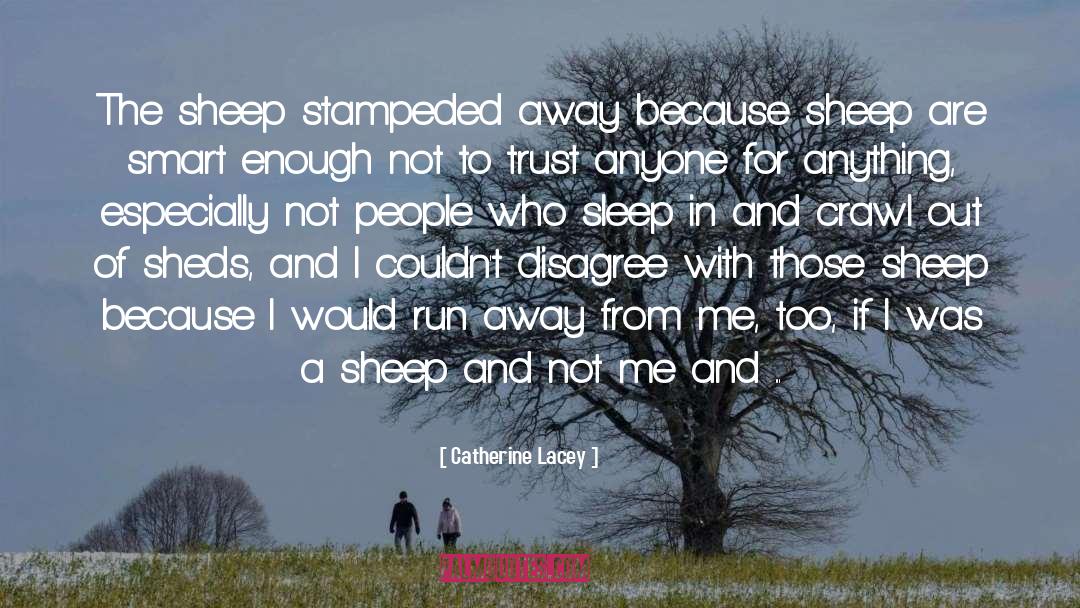 Catherine Lacey Quotes: The sheep stampeded away because