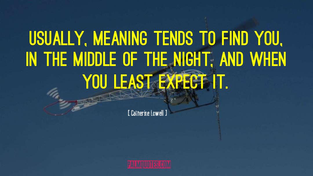 Catherine Lowell Quotes: Usually, meaning tends to find