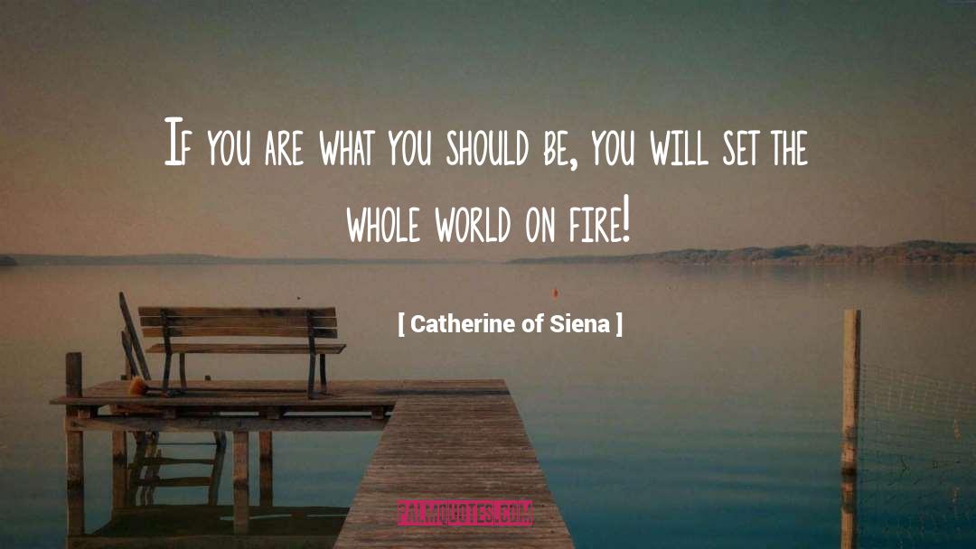 Catherine Of Siena Quotes: If you are what you