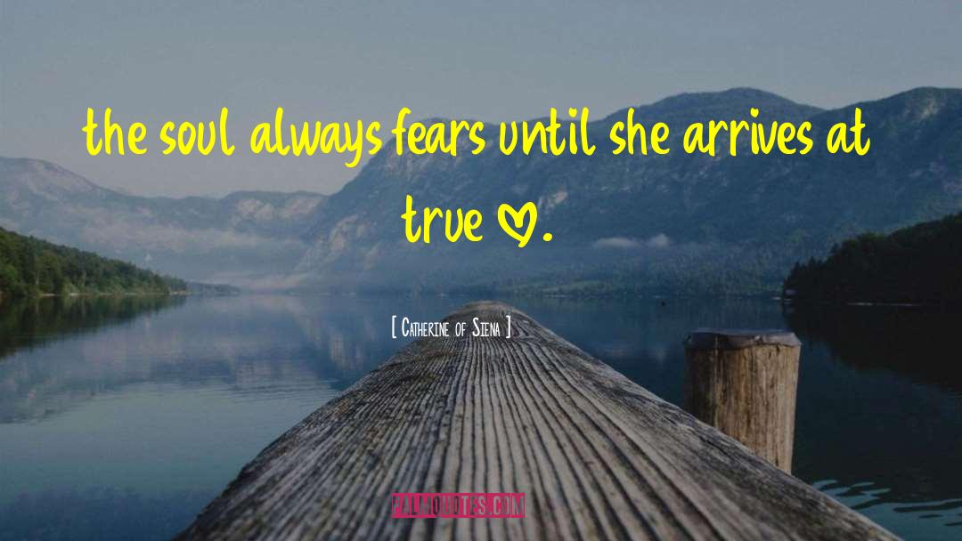 Catherine Of Siena Quotes: the soul always fears until