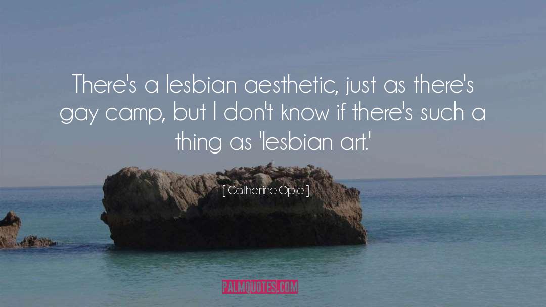 Catherine Opie Quotes: There's a lesbian aesthetic, just