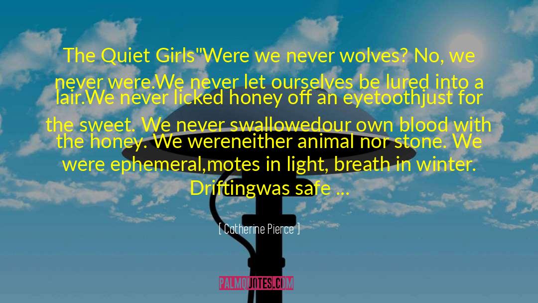 Catherine Pierce Quotes: The Quiet Girls