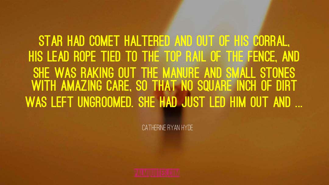 Catherine Ryan Hyde Quotes: Star had Comet haltered and