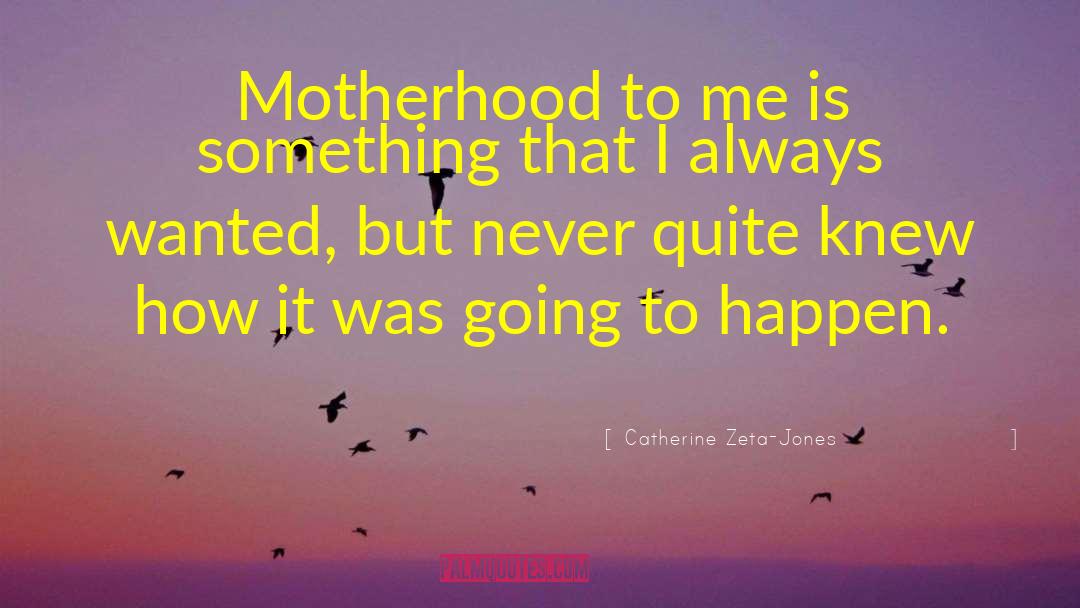 Catherine Zeta-Jones Quotes: Motherhood to me is something