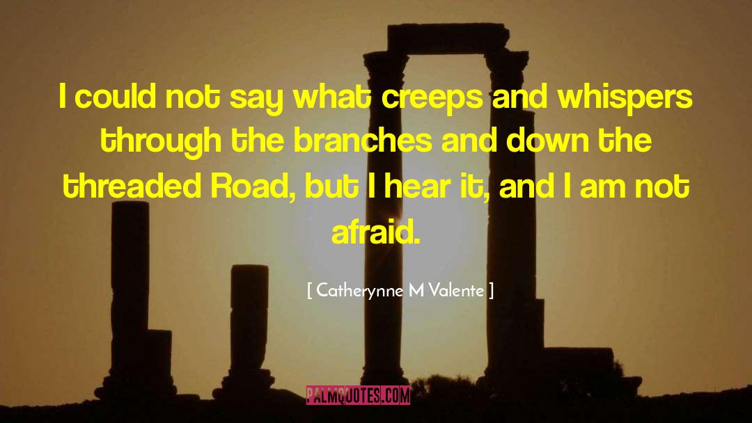 Catherynne M Valente Quotes: I could not say what