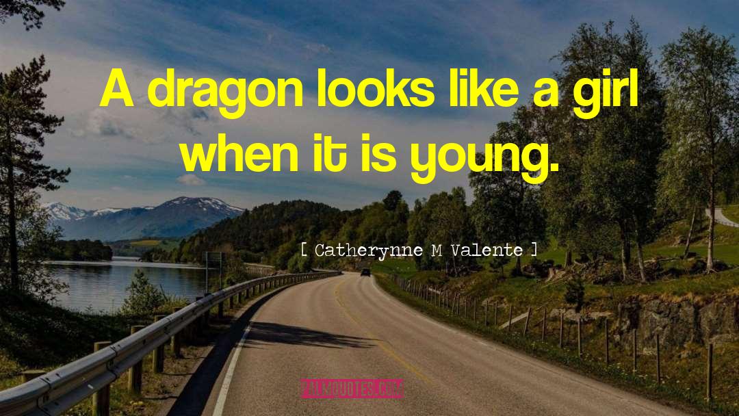 Catherynne M Valente Quotes: A dragon looks like a