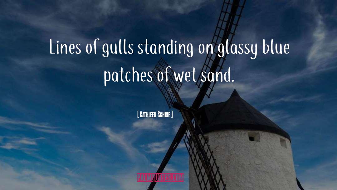 Cathleen Schine Quotes: Lines of gulls standing on