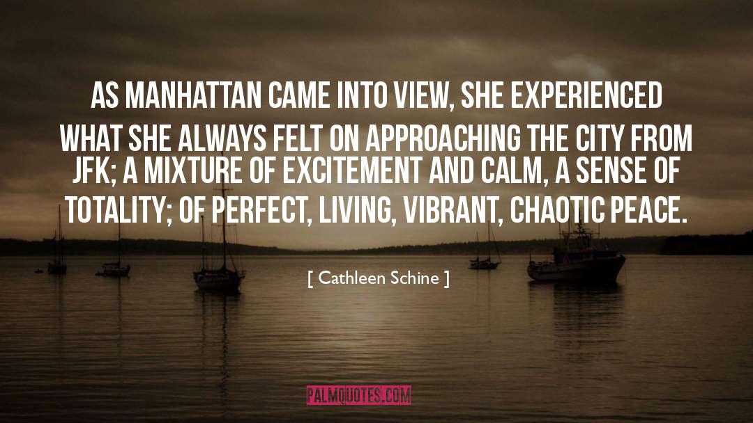 Cathleen Schine Quotes: As Manhattan came into view,