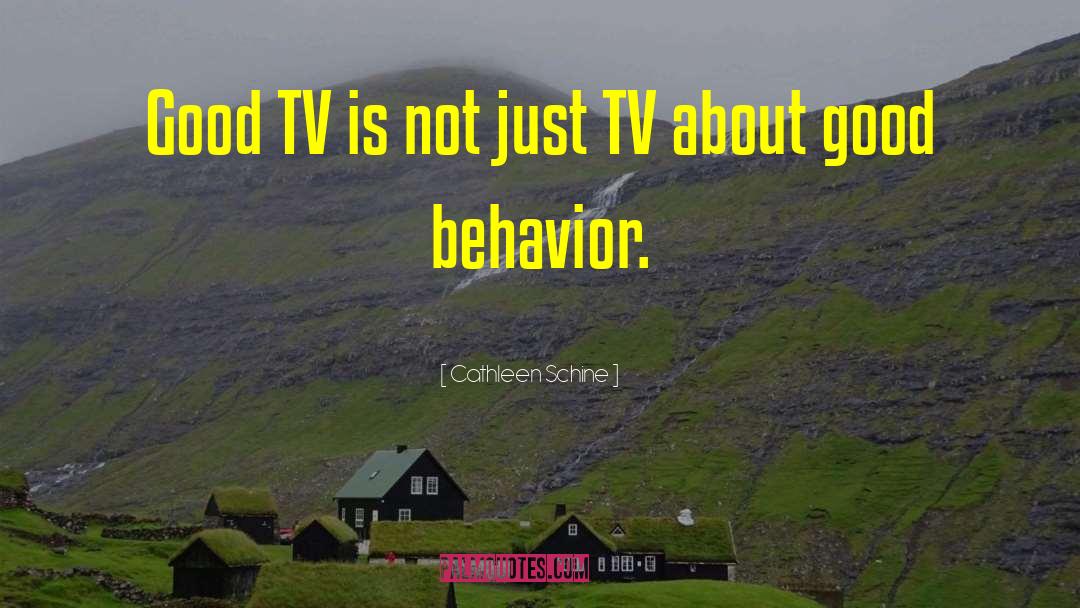 Cathleen Schine Quotes: Good TV is not just