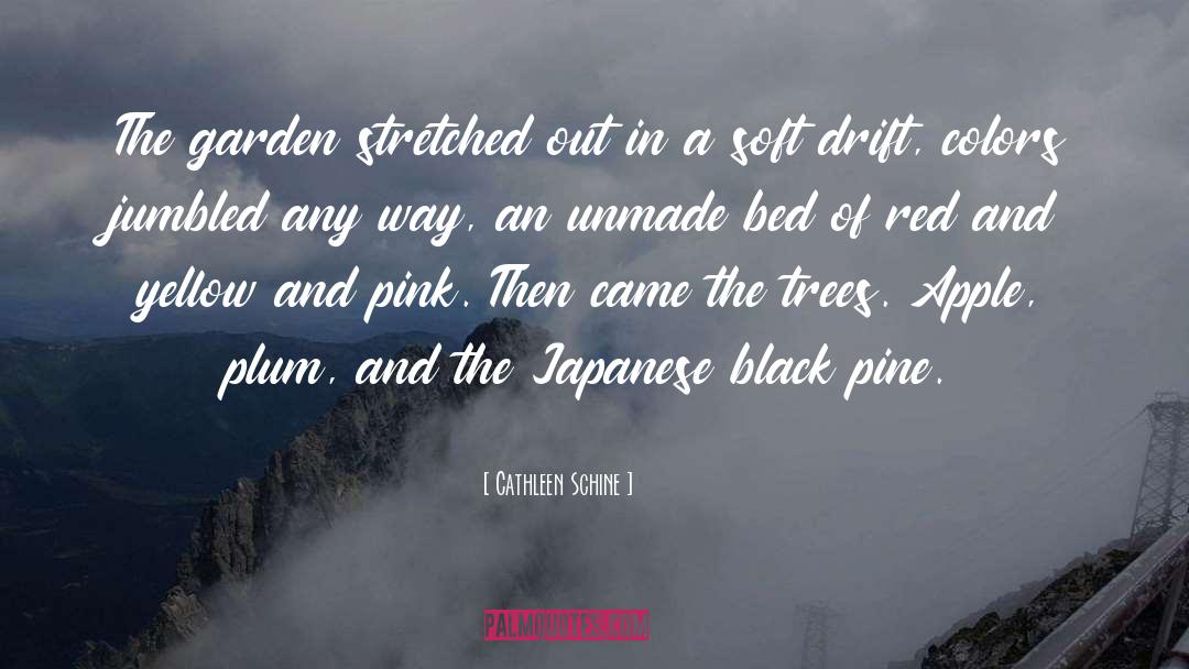 Cathleen Schine Quotes: The garden stretched out in