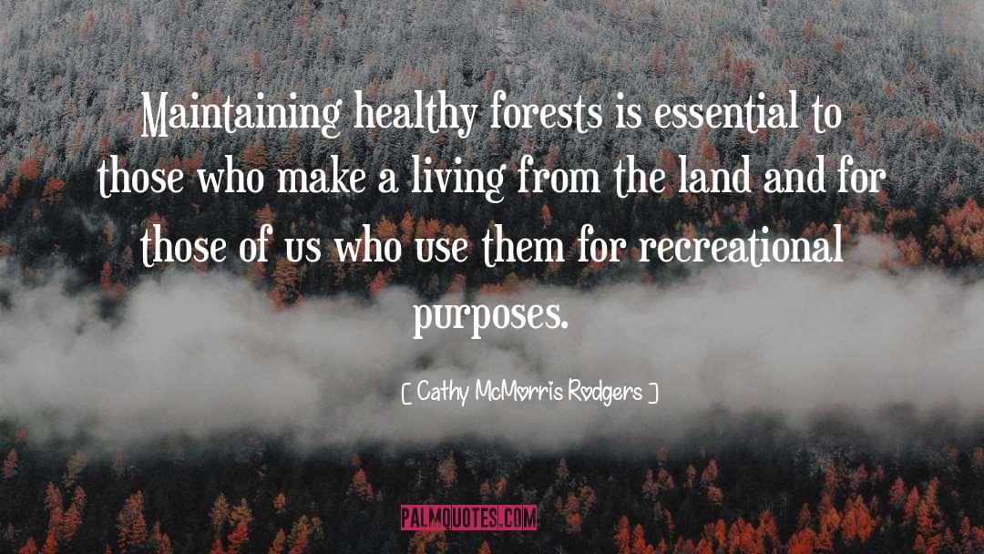 Cathy McMorris Rodgers Quotes: Maintaining healthy forests is essential