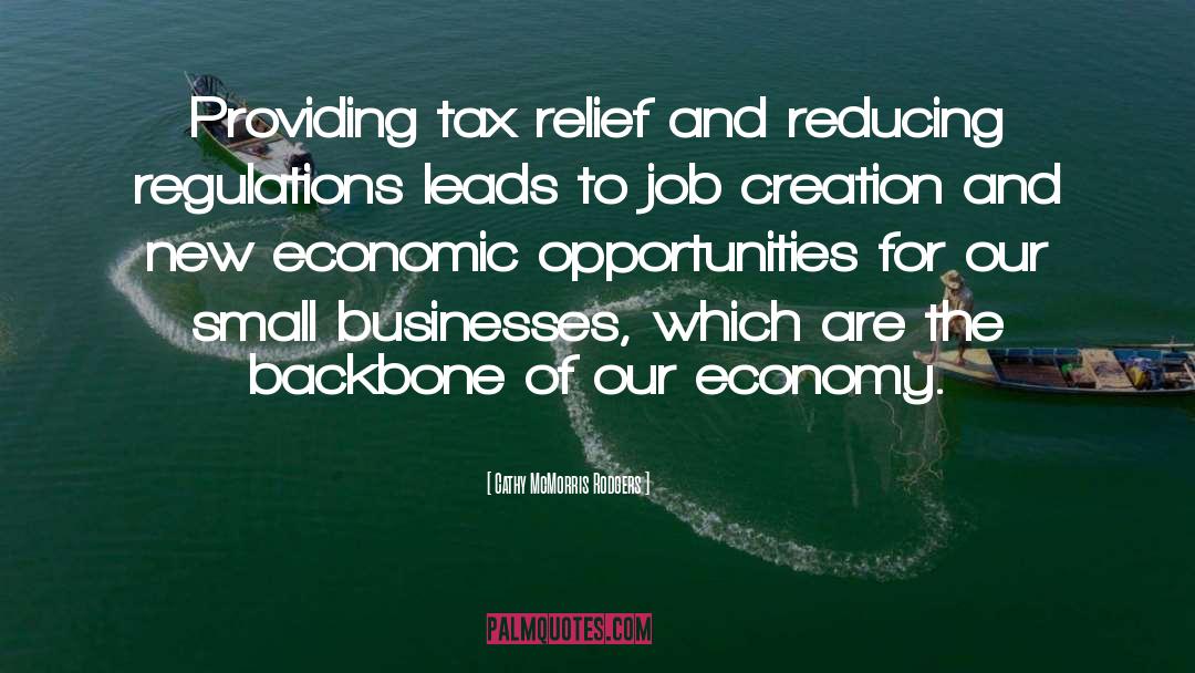 Cathy McMorris Rodgers Quotes: Providing tax relief and reducing