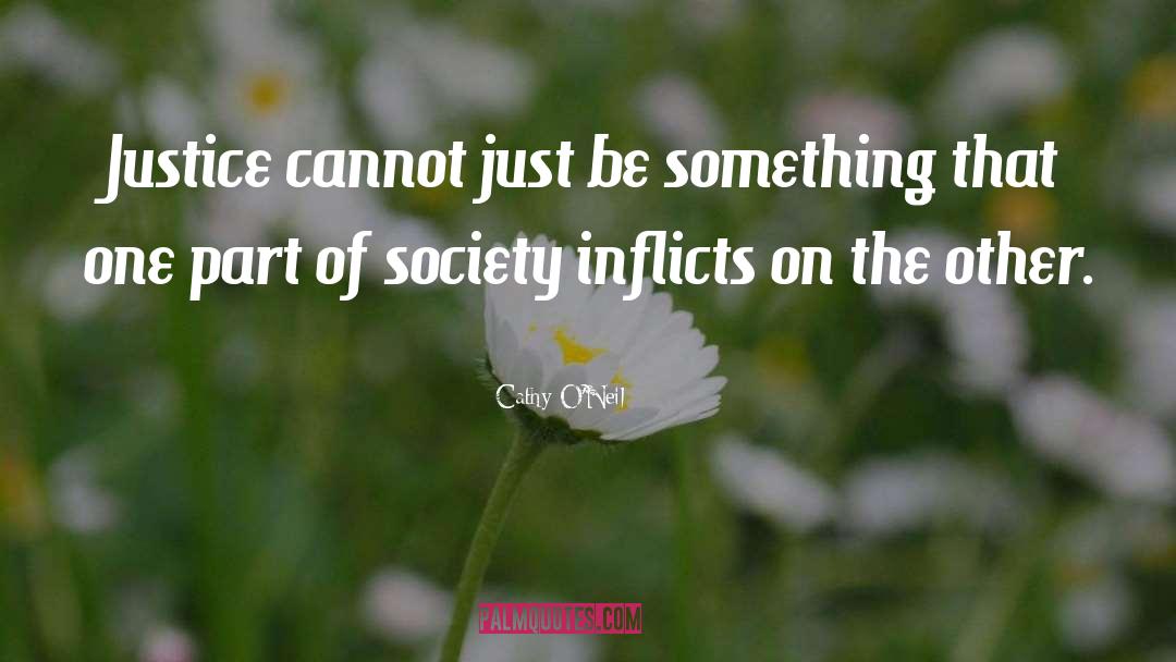 Cathy O'Neil Quotes: Justice cannot just be something