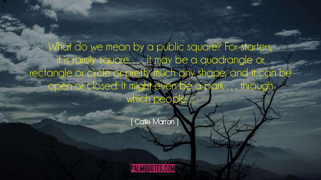 Catie Marron Quotes: What do we mean by