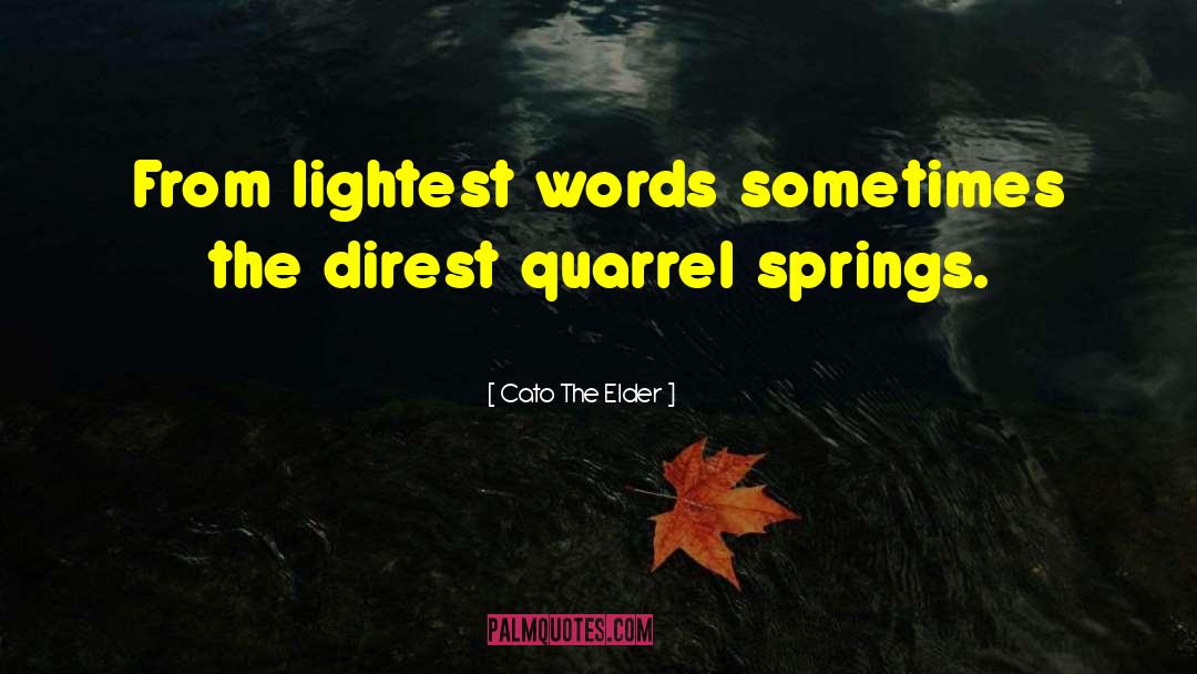 Cato The Elder Quotes: From lightest words sometimes the