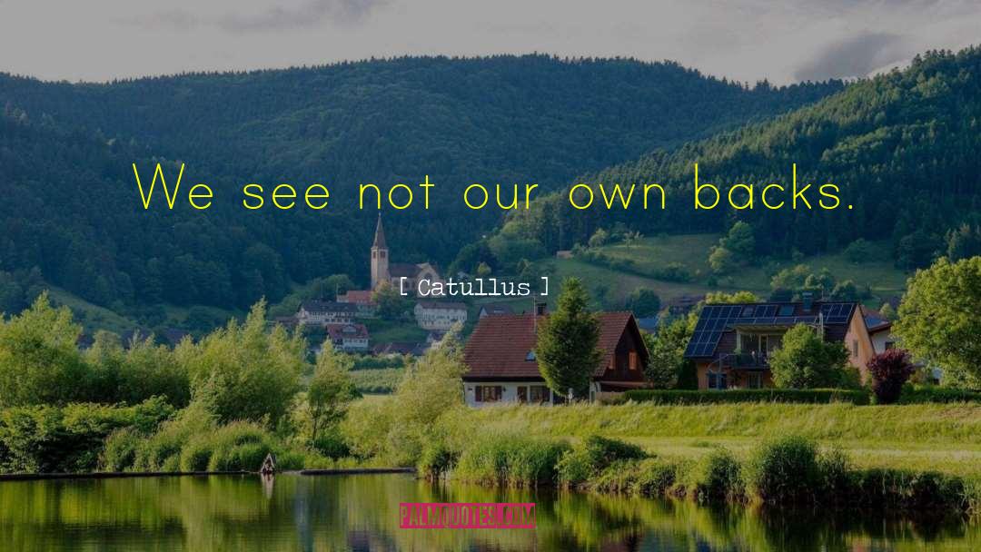 Catullus Quotes: We see not our own